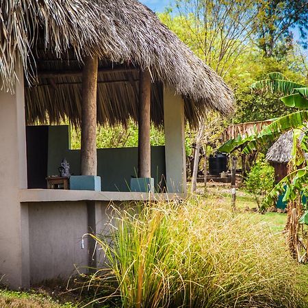Gemastepe Coco Loco Eco-Resort المظهر الخارجي الصورة