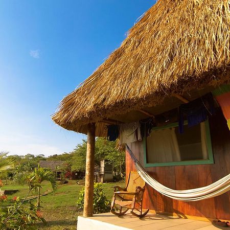 Gemastepe Coco Loco Eco-Resort المظهر الخارجي الصورة