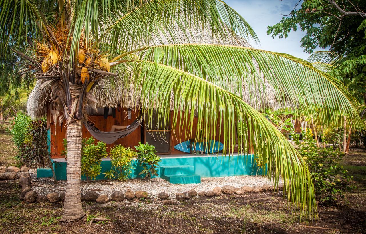 Gemastepe Coco Loco Eco-Resort المظهر الخارجي الصورة